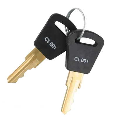 CL001 Electrical Key